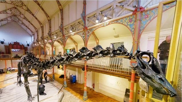 Dippy the Dinosaur goes on tour|Dippy the Dinosaur