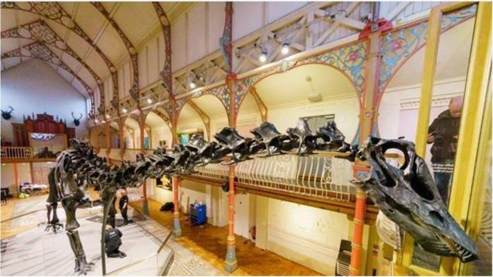 Dippy the Dinosaur goes on tour